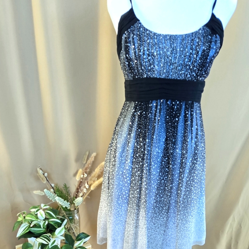 Black and White Sparkle Dress